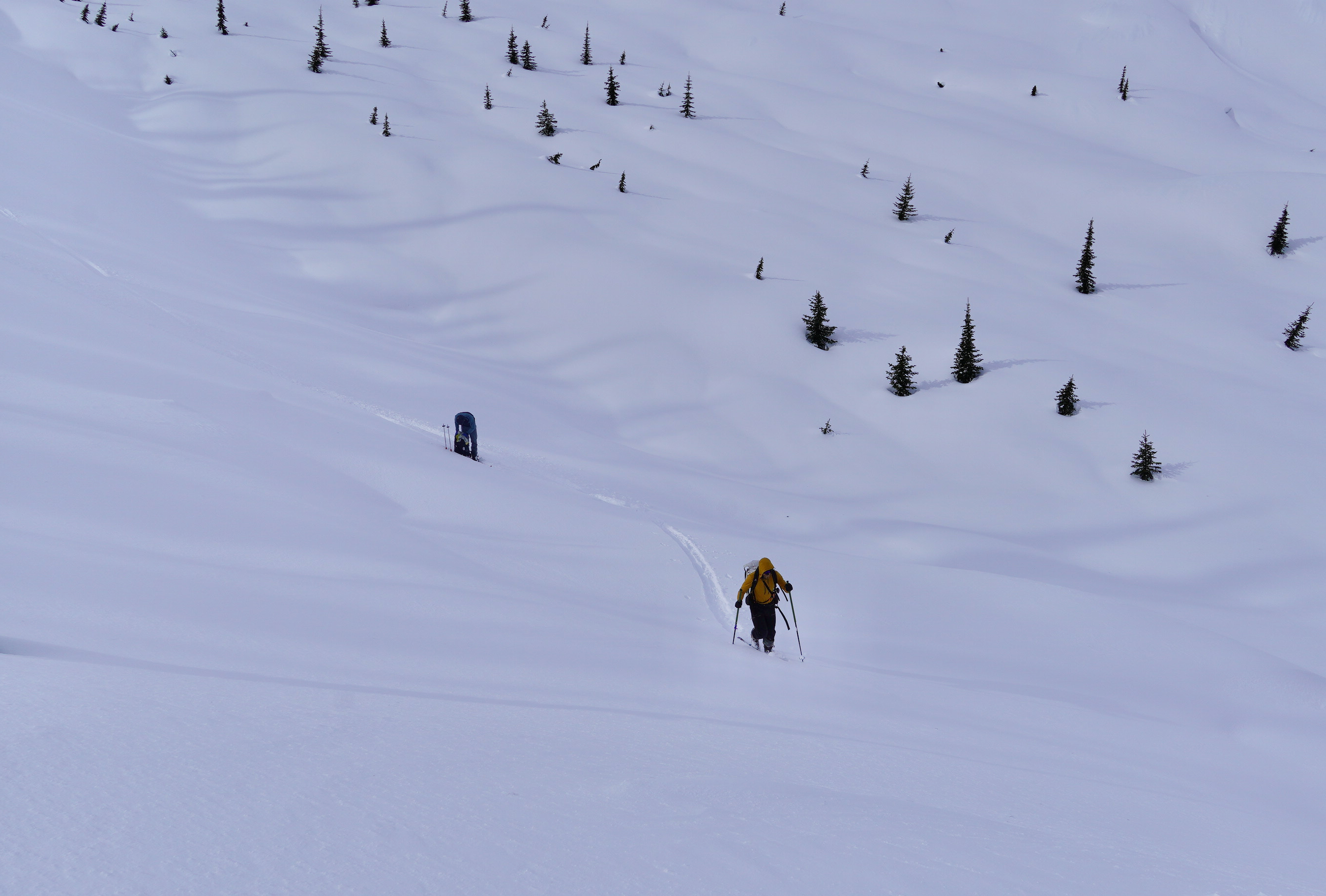 asulkan_rogers_pass - 39.png